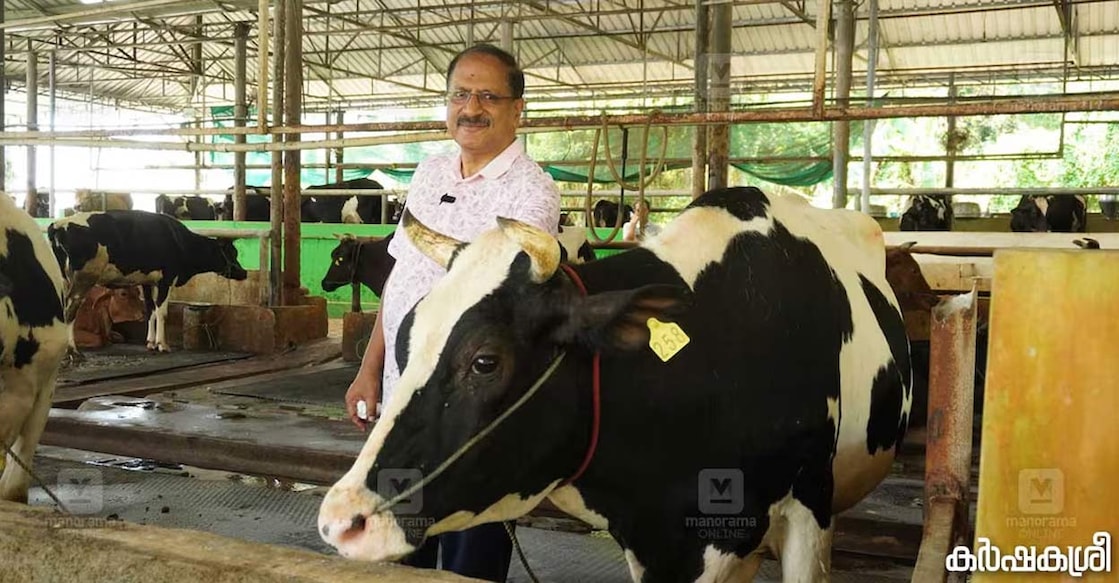 The high-density farm integrates poultry, dairy, fish, and vegetable cultivation resulting a remarkable success in sustainable agriculture. Photo Karshakasree