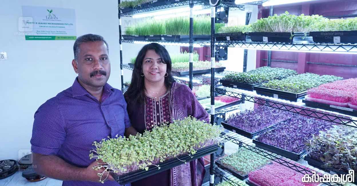 micro-greens-02-c micro-greens-02-c