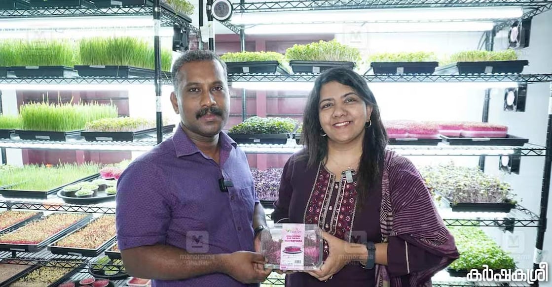 micro-greens-c 'Forty X Leaves', a Thiruvananthapuram-based microgreen enterprise developed by Suneshan and his wife Shaikath, is a revolutionary farming technique. Photo: Karshakasree