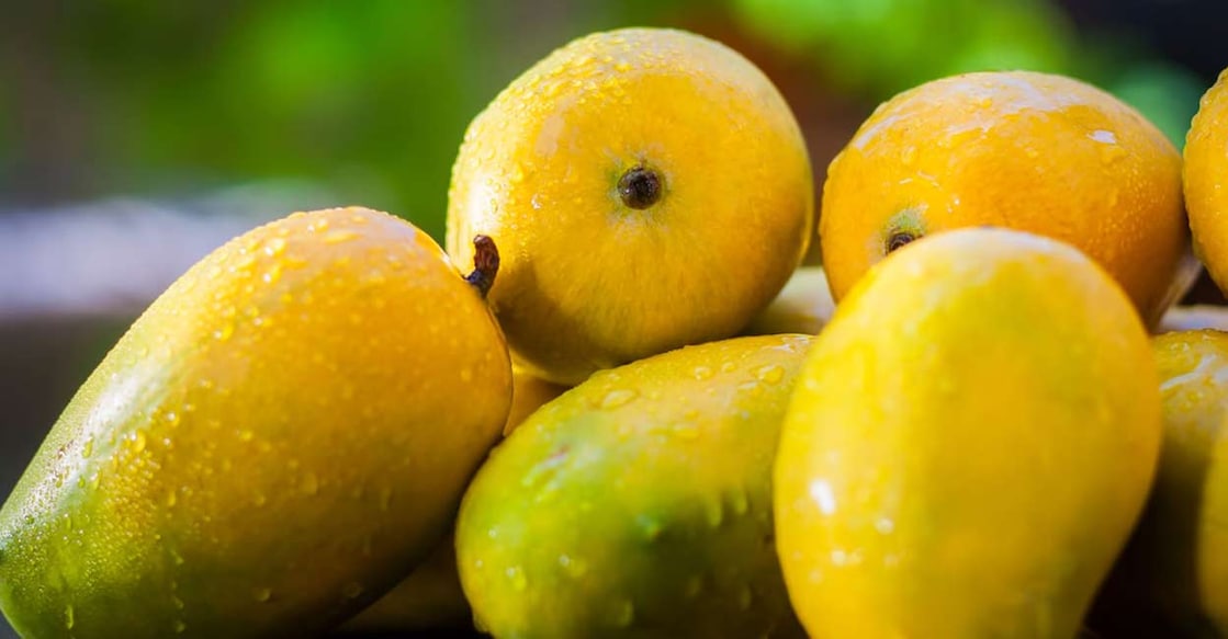 mango-c Kesar Mangoes. Image Credit: mirzamlk/iStockPhoto