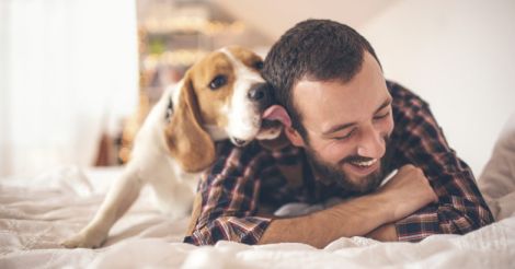 Pamper your pets with these special tips this summer