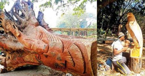 When big trees fall, art blooms: Have you heard about Bengaluru’s latest selfie point?