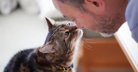 7 things to keep in mind before adopting a pet 