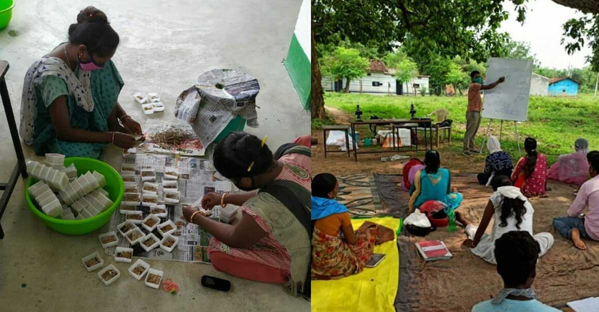 Silk cultivation a boon for Jharkhand women Silk cultivation a boon for Jharkhand women