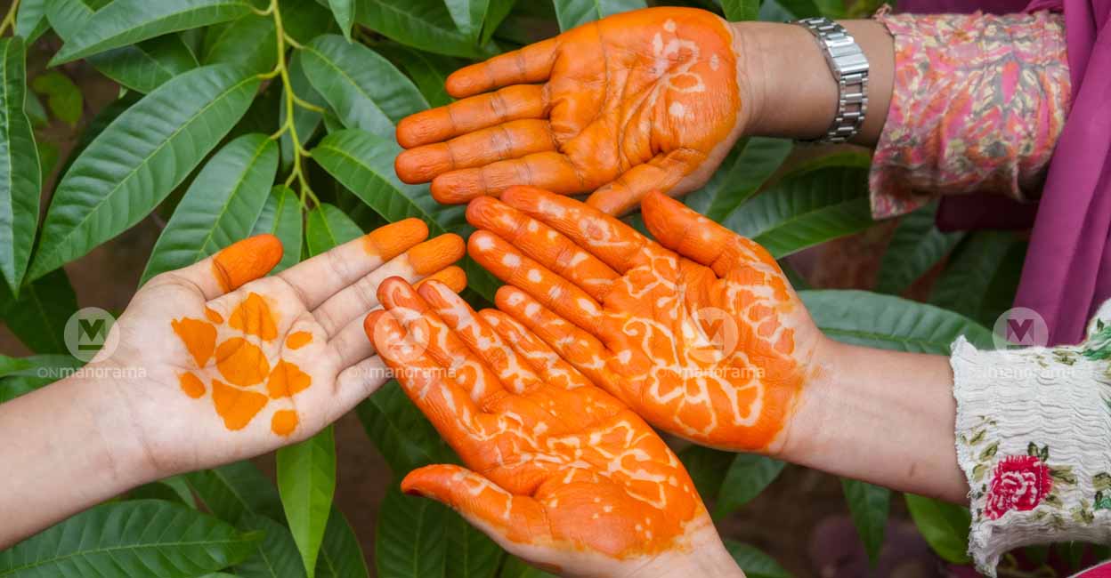 In the morning, when the dried mehendi is removed, white flowers, vines, and dotted calligraphy would bloom on the red palm. Photo: Onmanorama
