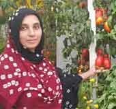 Meet Saneera who seeks to develop a miracle vegetable farm in UAE