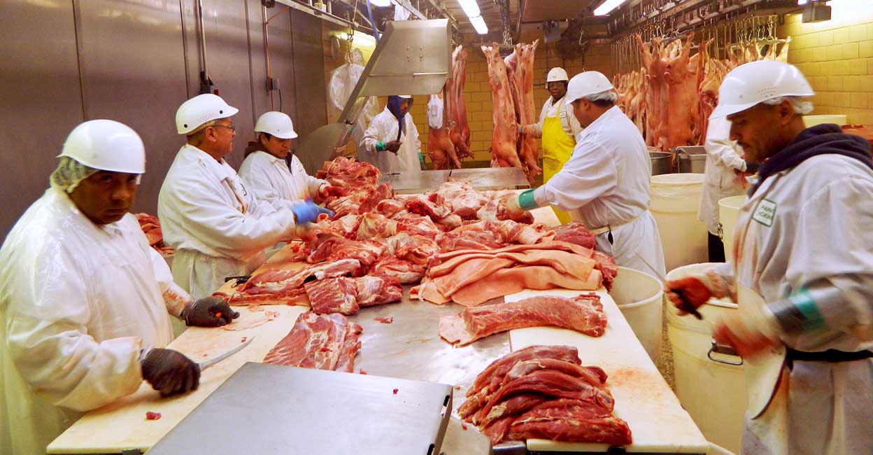 USA-PORK Workers cut pork at Park Packing – one of the Chicago's few remaining slaughterhouses – in Chicago, Illinois July 18, 2015. Photo: REUTERS/Karl Plume