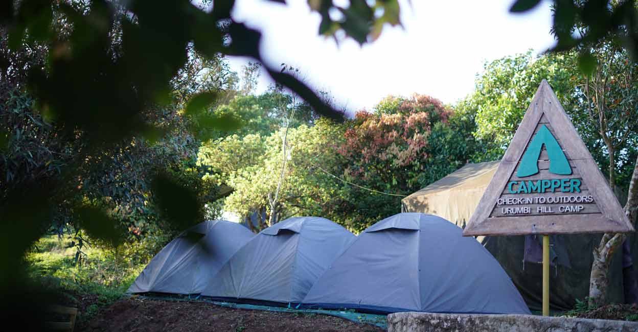 campper-camp-woody campper-camp-woody