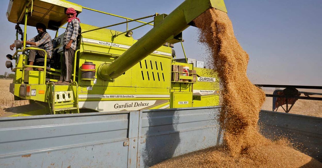 A combine deposits harvested wheat in a tractor trolley at a field on the outskirts of Ahmedabad. File Photo: Reuters/Amit Dave