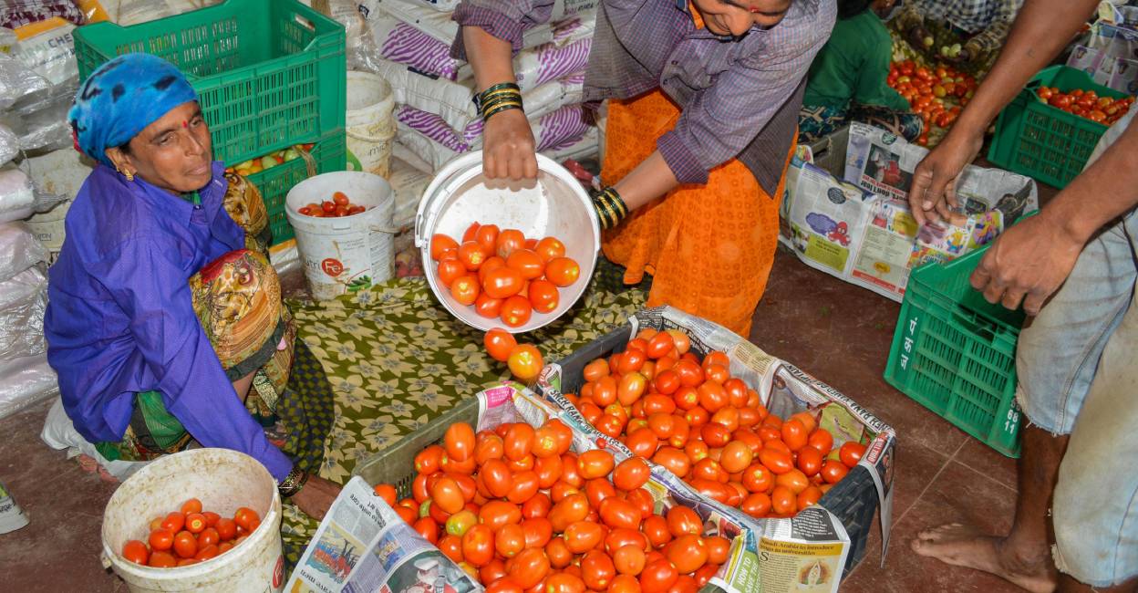 Supply disruption caused due to monsoon has led to a sharp rise in the rate of tomoato. Photo: PTI