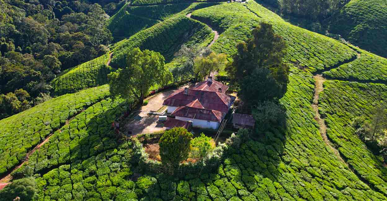 In Munnar, Voye has partnered with Kanan Devan Hills Plantations by adding its charming British tea plantation bungalow to its list of properties. Photo: Special arrangement