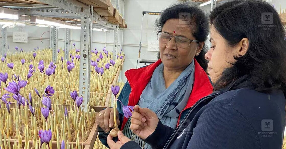 Shubha with Ankit's wife Manjeri. Photo: Manorama. 