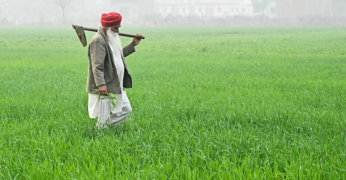india-farmer-c