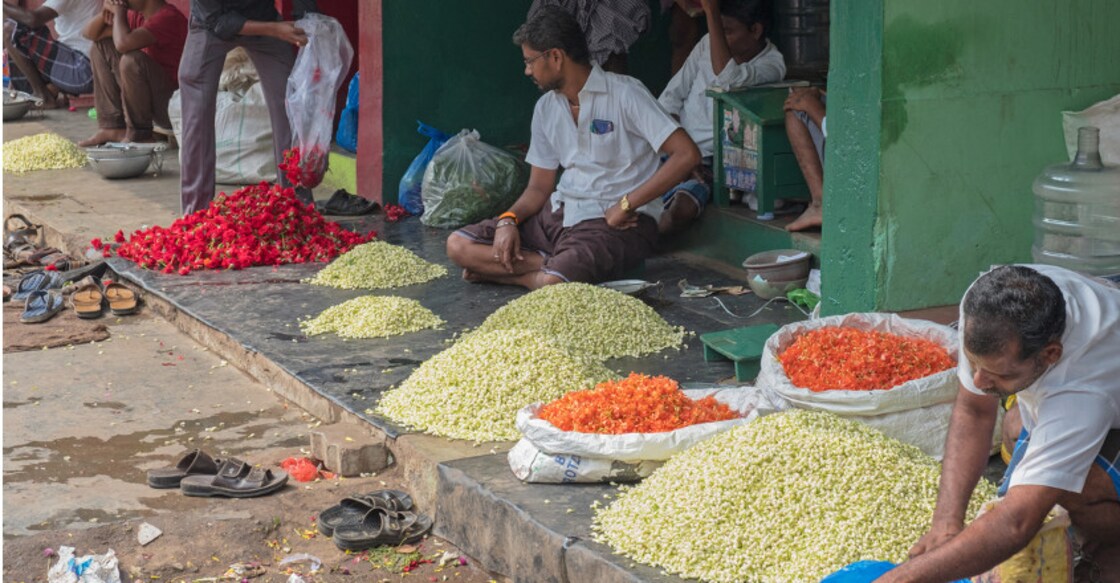 Why Madurai Jasmine captivates our senses