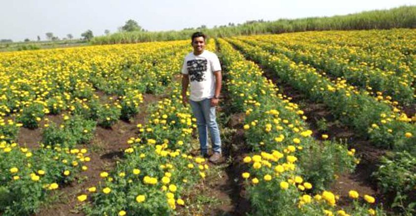 IT engineer takes up farming, earns Rs 20 lakh annually!