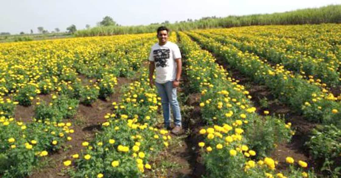 IT engineer takes up farming, earns Rs 20 lakh annually! IT engineer takes up farming, earns Rs 20 lakh annually!