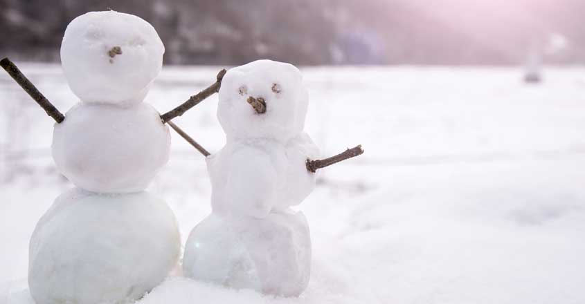 The memoir of a snowball