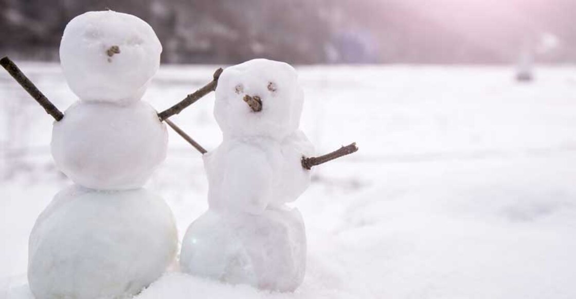 The memoir of a snowball The memoir of a snowball