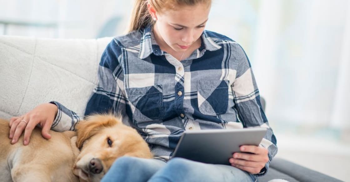 In 10 minutes students can reduce stress by petting dogs, cats In 10 minutes students can reduce stress by petting dogs, cats