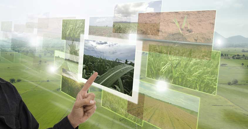 Smart Farming Smart Farming