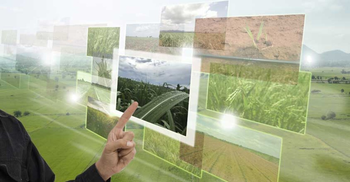 Smart Farming 