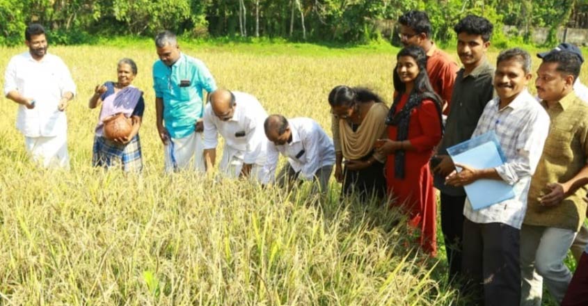 Attingal-college Attingal-college