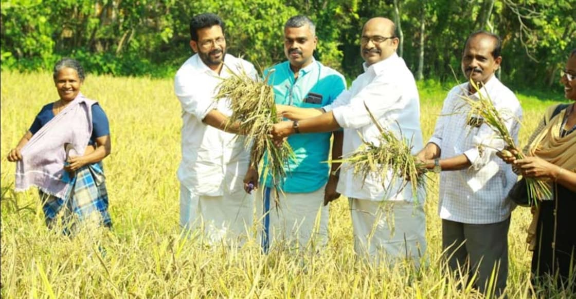 Attingal Govt College reaps a bounty from on-campus field Attingal Govt College reaps a bounty from on-campus field