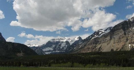 Call of the wild | The spectacular beauty and biodiversity of North America