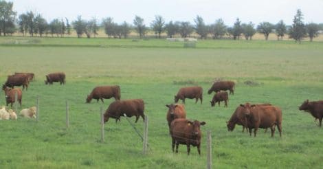 Think agriculture is a benign industry? Our water bodies tell a different story