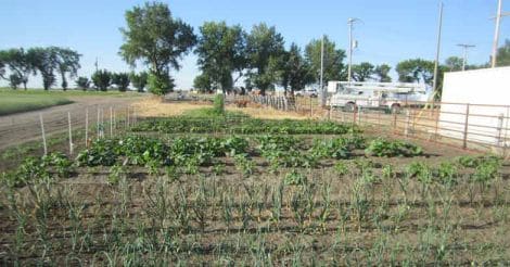 Think agriculture is a benign industry? Our water bodies tell a different story