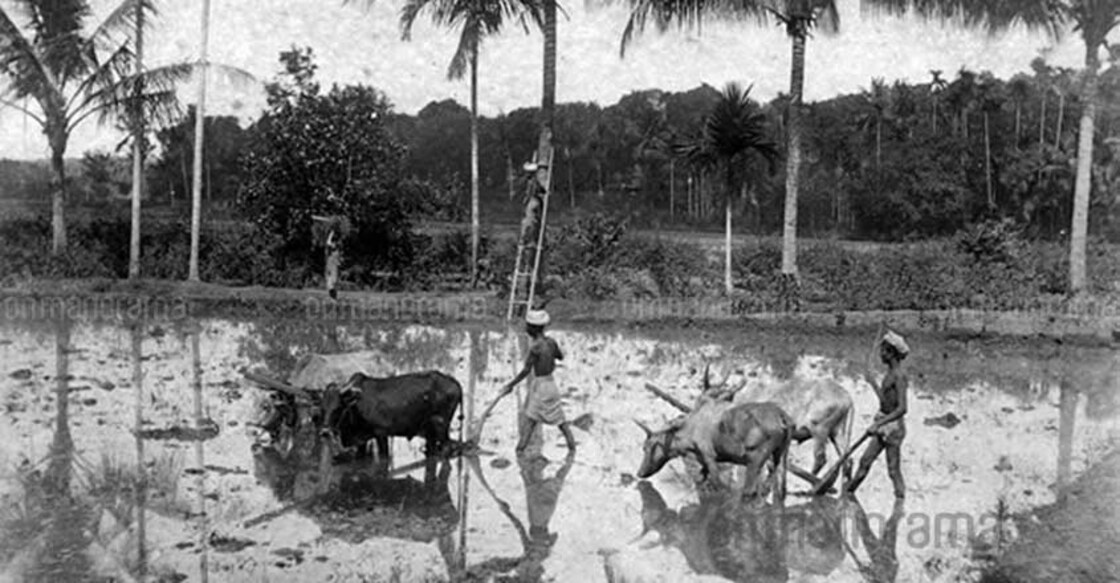How the West saw Kerala in the 1950s and 60s