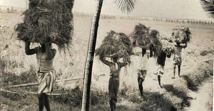 How the West saw Kerala in the 1950s and 60s How the West saw Kerala in the 1950s and 60s