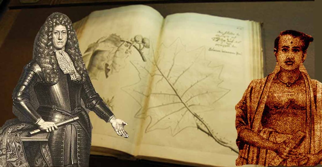Column |When a Dutch-Malayali effort helped create a great botanical treatise 