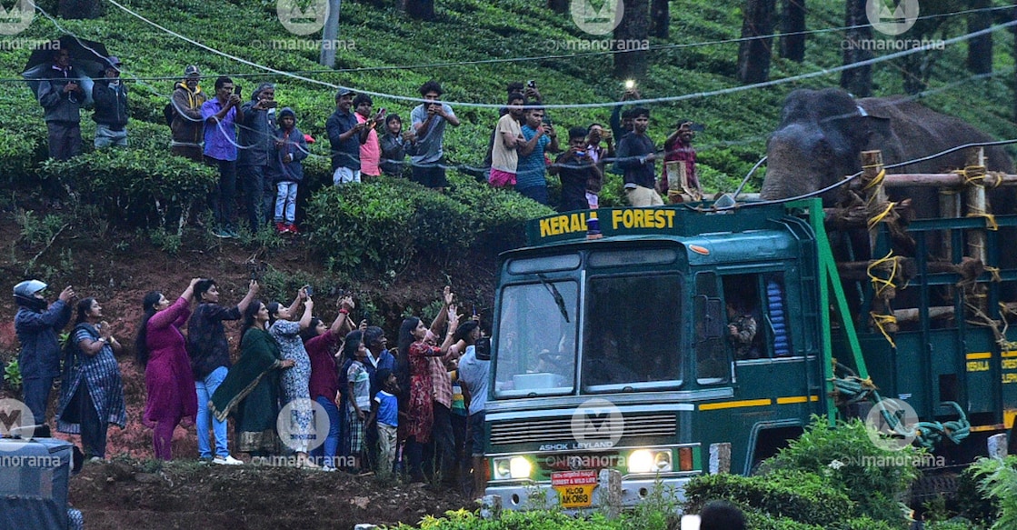 Residents of Chinnakanal click photographs on their mobile phones as wild tusker Arikomban is being translocated in a lorry to the Periyar Wildlife Sanctuary on Saturday. Photo: Manorama