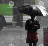 Heavy rain likely in Kerala; Yellow alert in 5 districts today