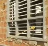 Human skull, bones found from house construction site in Tripunithura, cops start probe