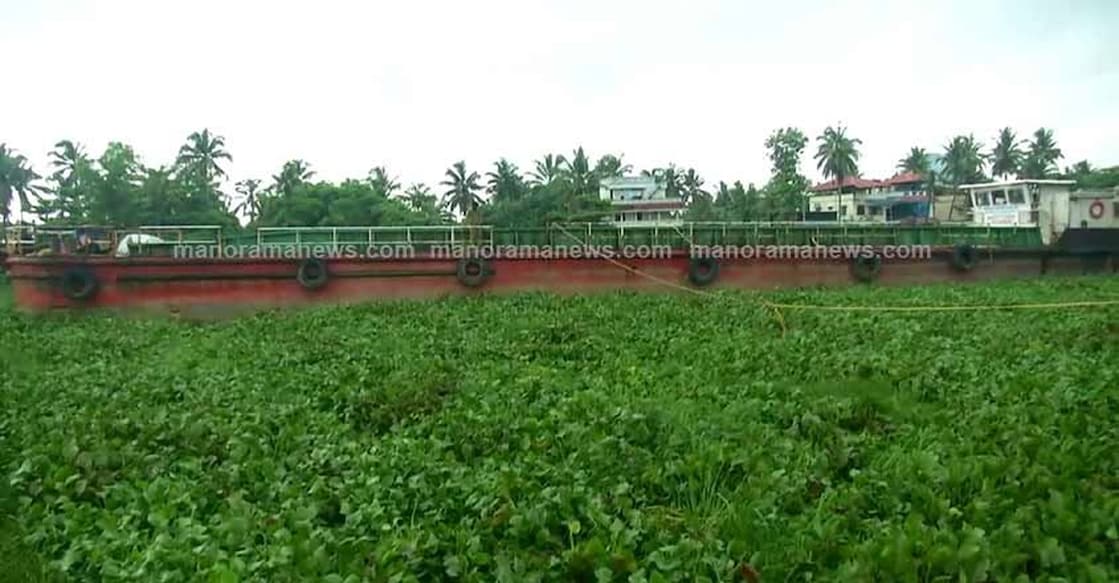 A barge stuck in weed-infested Chambakkara Canal near Kochi on Tuesday. 