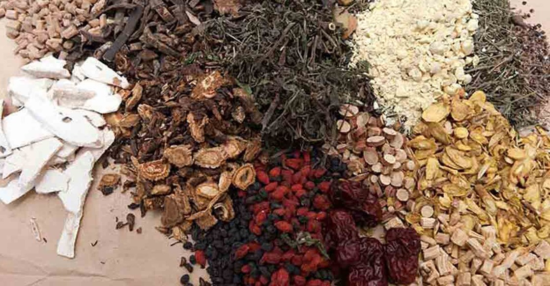 The WHO Global Centre for Traditional Medicine (WHO GCTM) in Jamnagar is a knowledge centre for traditional medicine. Photo: Website/Ministry of AYUSH