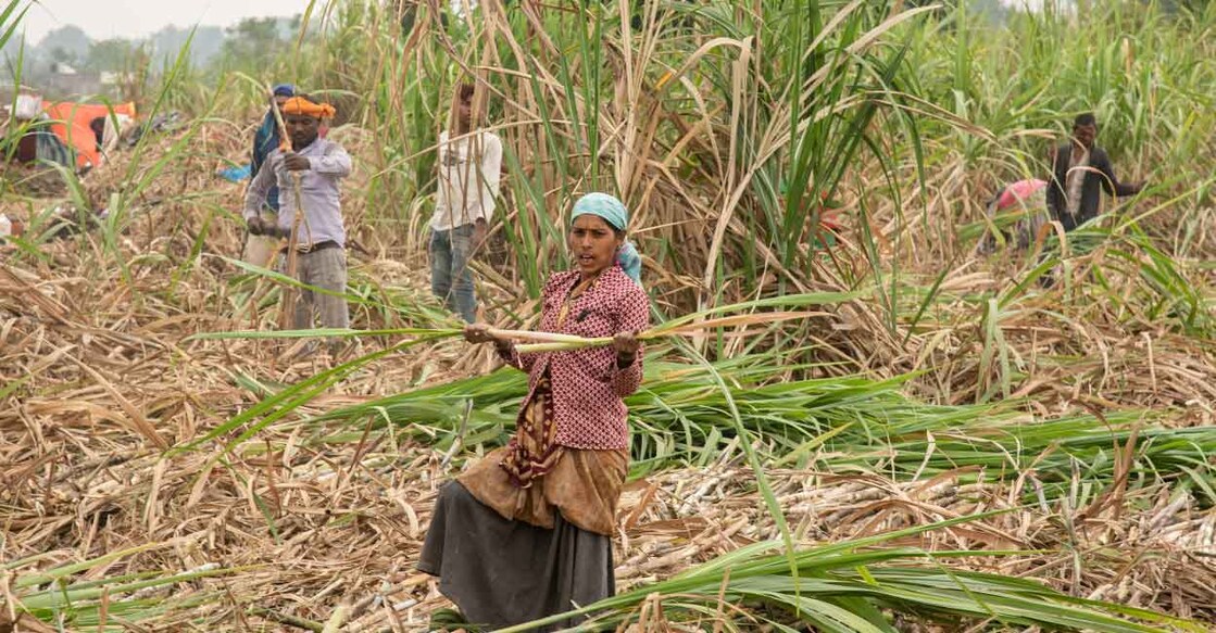 Representational image | Shutterstock images