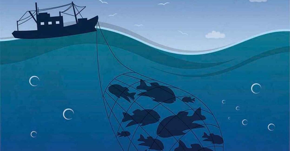 fishing-rep-image