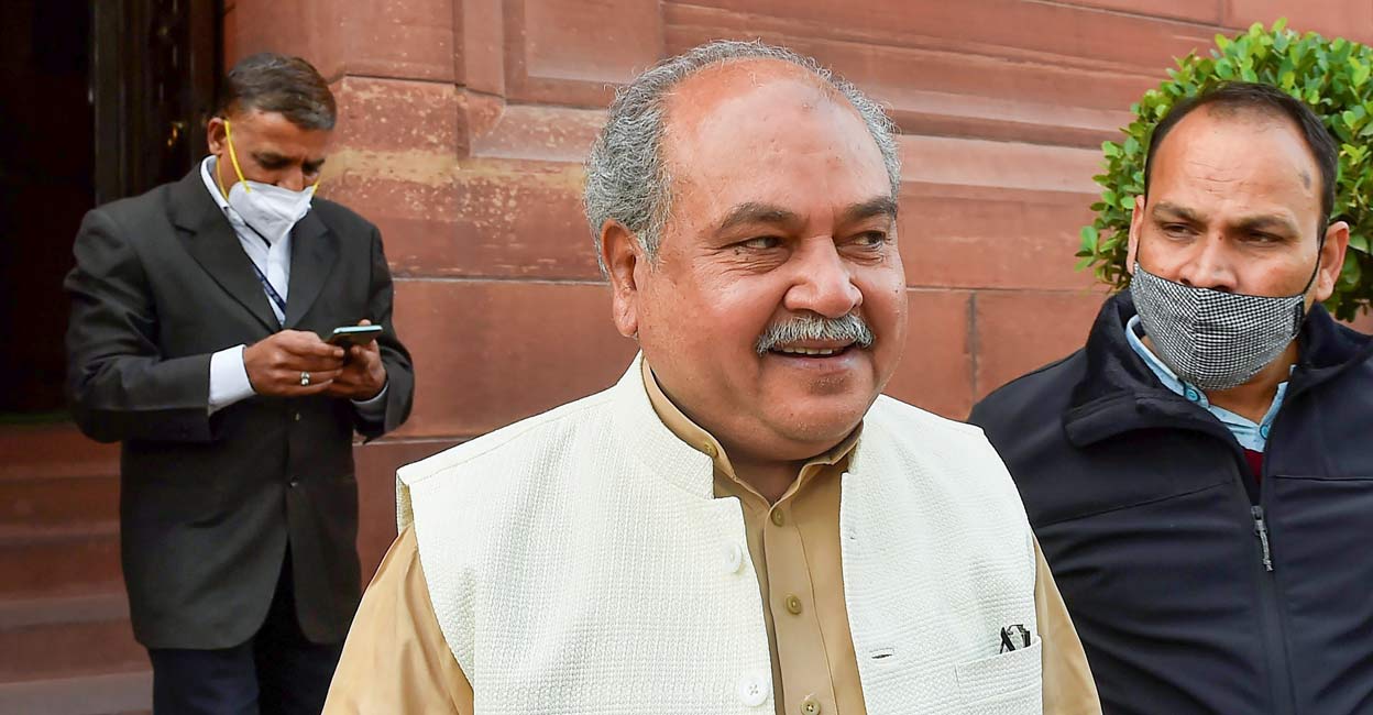 Union Agriculture Minister Narendra Singh Tomar. File photo: PTI