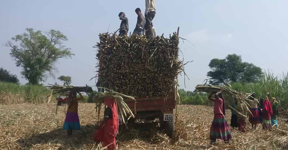 Union Budget: War on rural India’s lifeline continues
