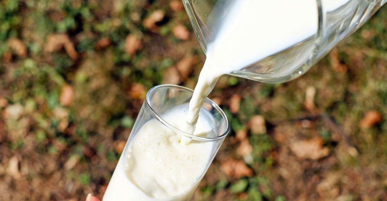 Amul hikes milk price by Rs 2 per litre