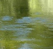 2 boys drown in Mavelikkara temple pond