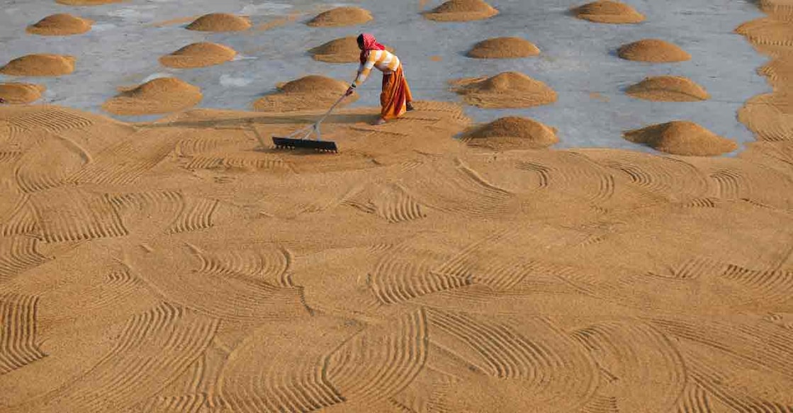 A worker spreads rice for drying at a rice mill on the outskirts of Kolkata, India, January 31, 2019. FILE PHOTO: REUTERS/Rupak De Chowdhuri