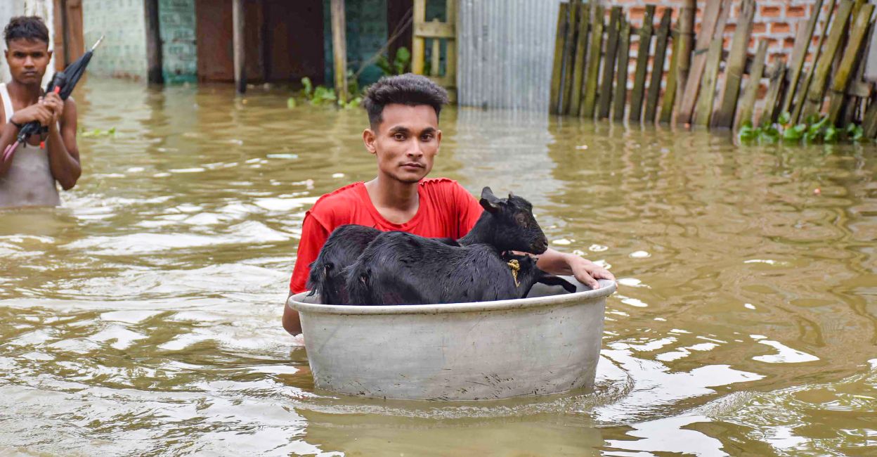 A boy wades through the water with his pet goat in Assam. Photo: PTI