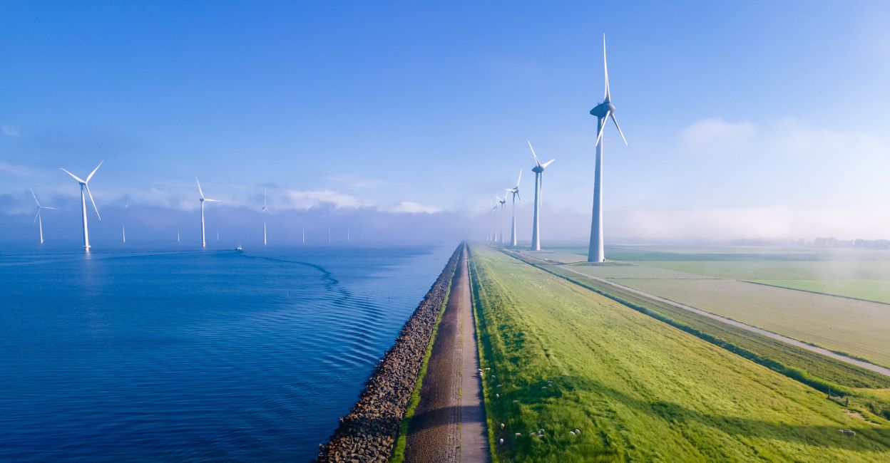 Green energy Representational image. Photo: Shutterstock/fokke baarssen