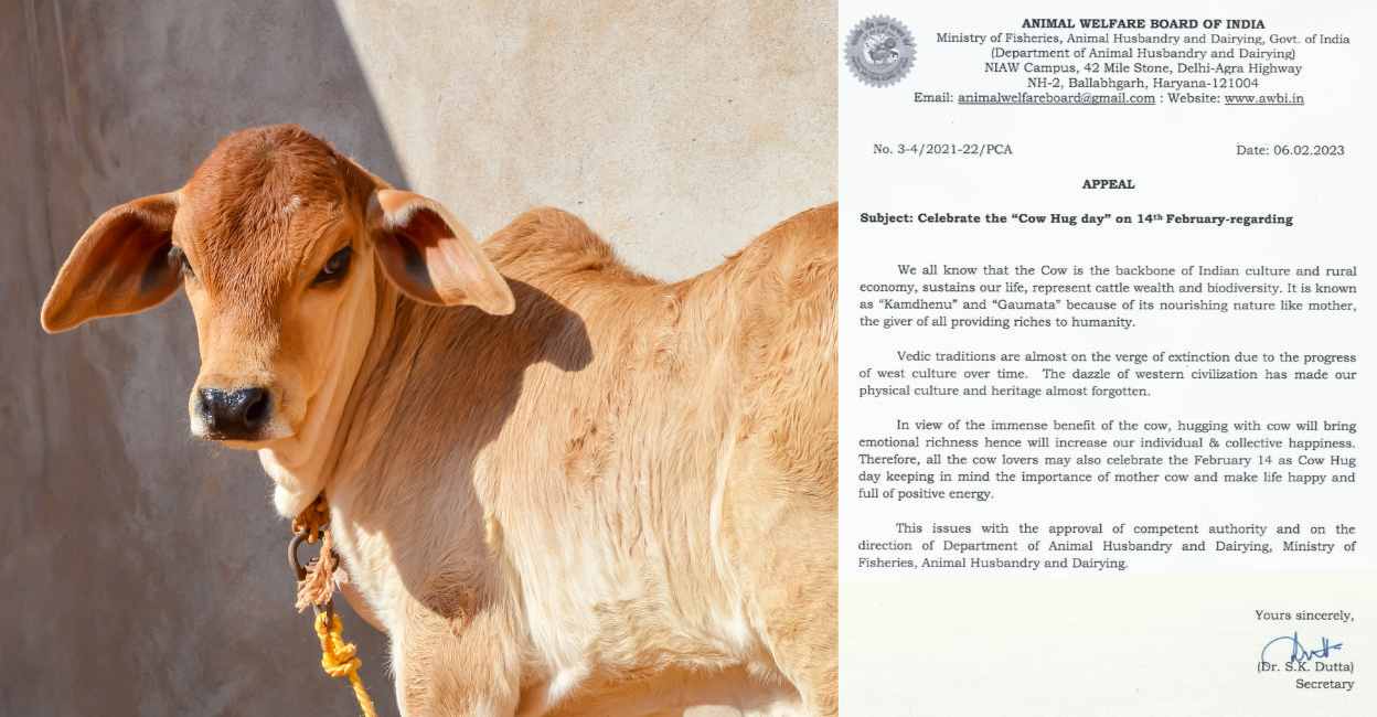 Appeal to celebrate 'cow hug day' withdrawn | Onmanorama