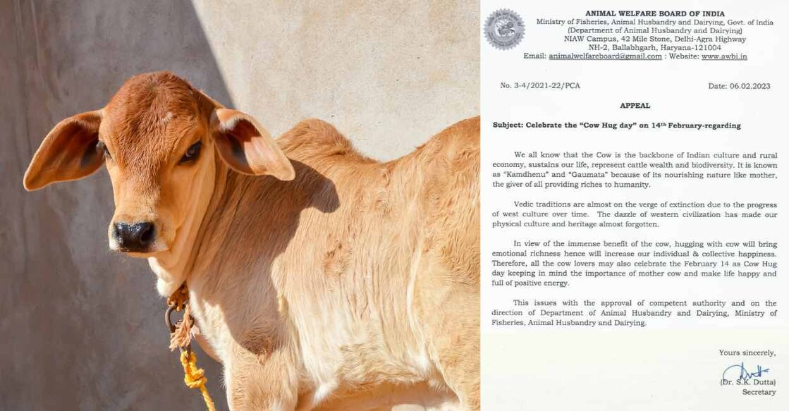 The appeal was published by the Ministry of Fisheries, Animal Husbandry and Dairying in association with the Animal Welfare Board. Photo: Canva