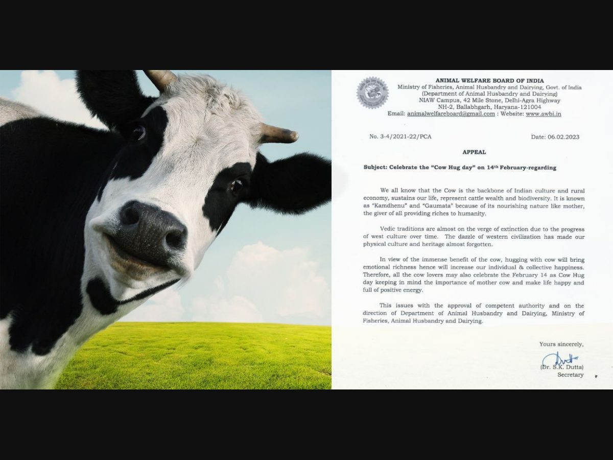 Celebrate 'Cow Hug Day' on Valentine's Day, urges Animal Welfare Board